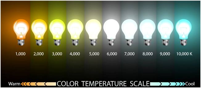 Cool White vs Natural White vs Warm White Murphy LED lights: Know the