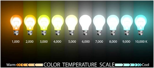 Cool White vs Natural White vs Warm White Murphy LED lights: Know the difference!