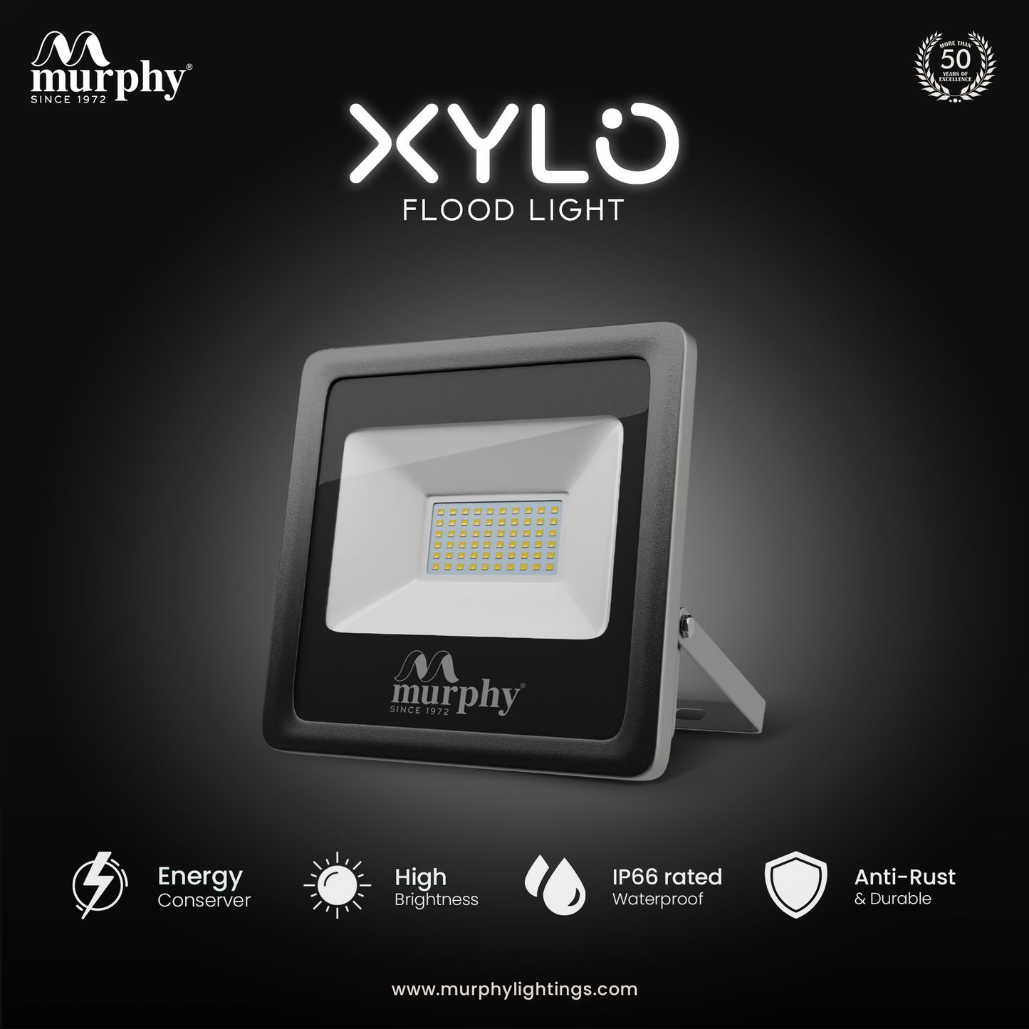 100W LED Flood Light - XYLO