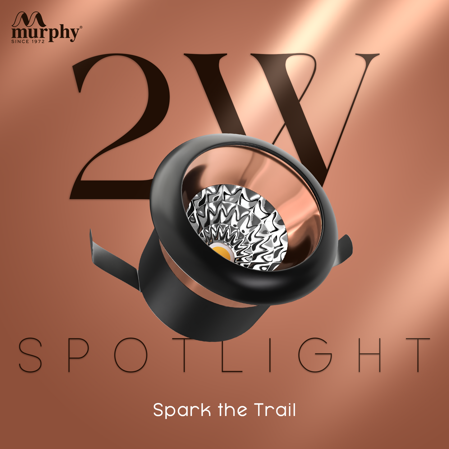Murphy 2W Rose Gold Button Spot Light