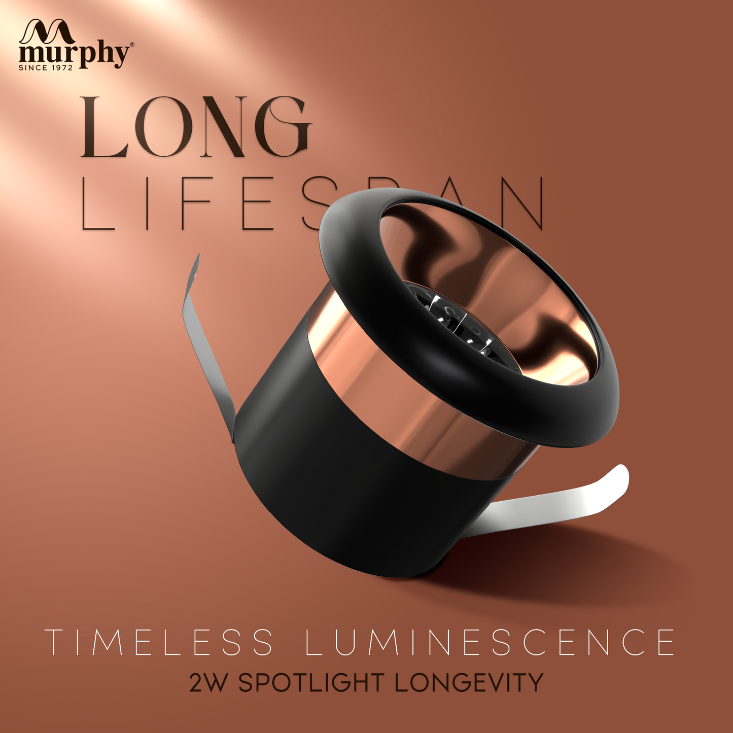 Murphy 2W Rose Gold Button Spot Light