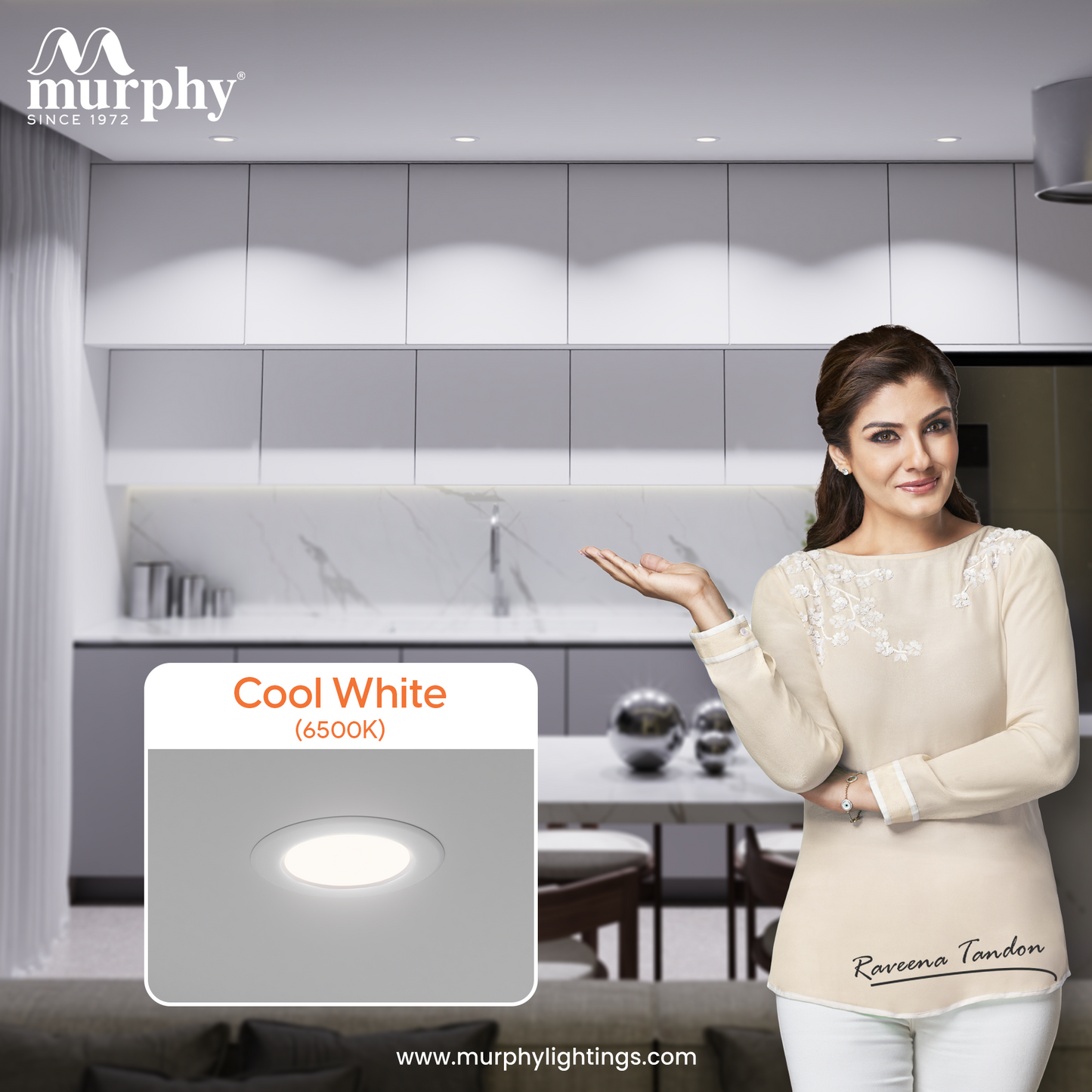 Murphy 7W Flora LED Concealed Box Down Light