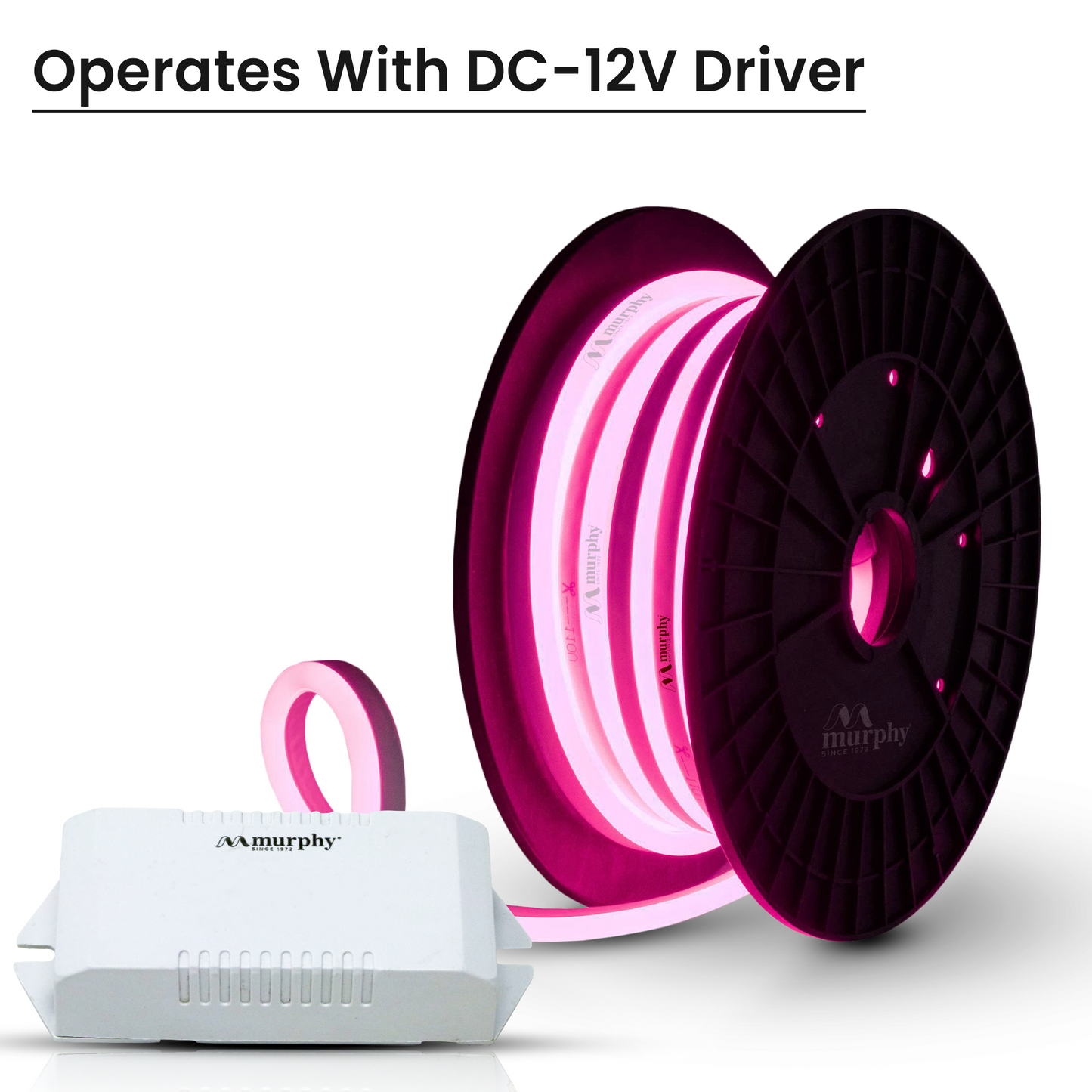 LED 12V DC NEON ROPE LIGHT WITH 2AM DRIVER
