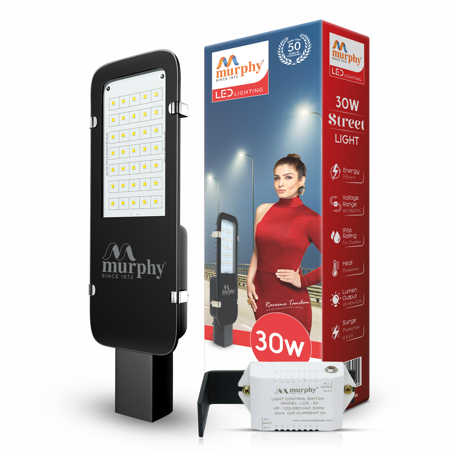 30W LED Galaxy Street Light - Dusk To Dawn