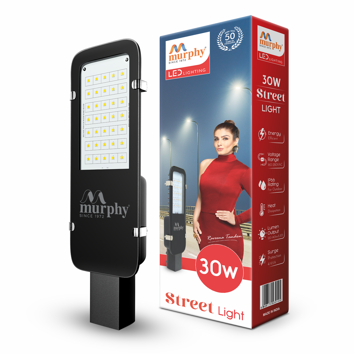 30W LED Street Light - Galaxy