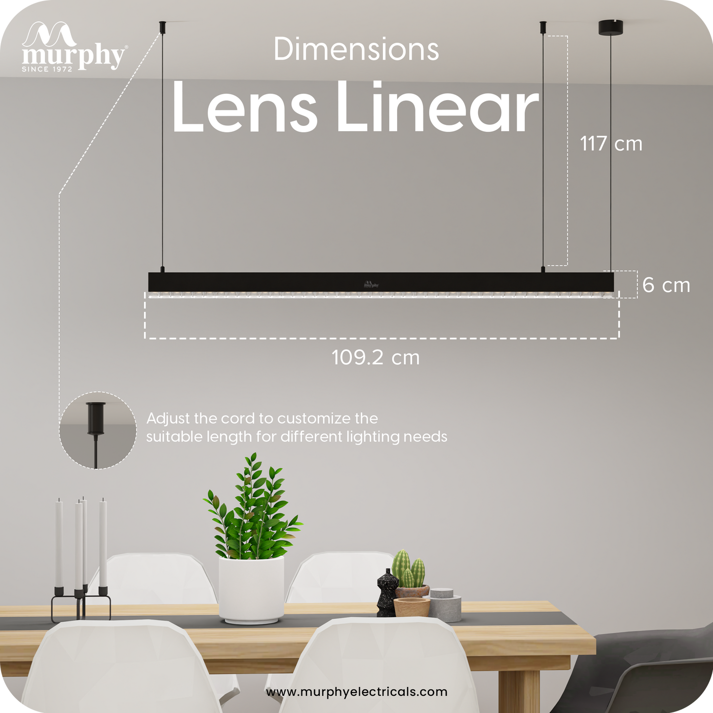 Murphy Black 4ft LED Hanging Profile Pendant Light (Lens Model)
