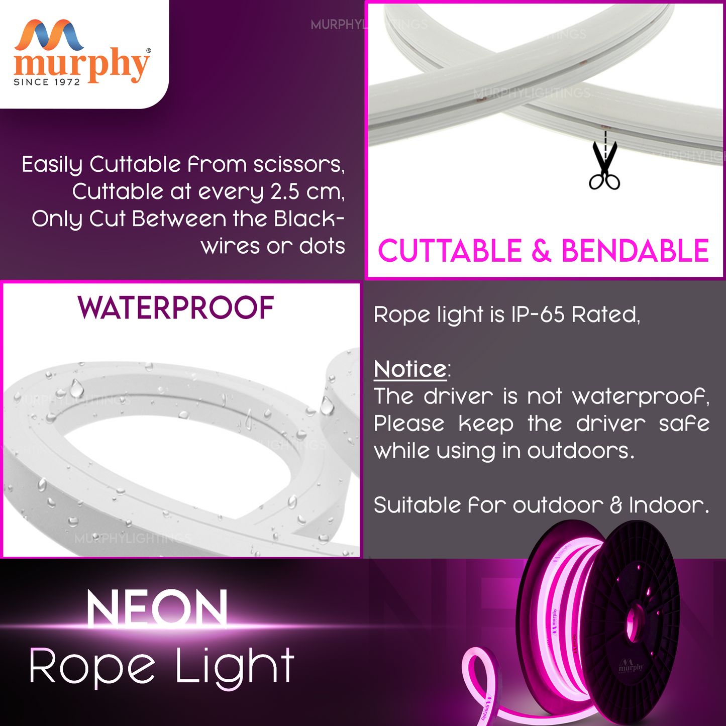 LED 12V DC NEON ROPE LIGHT WITH 2AM DRIVER