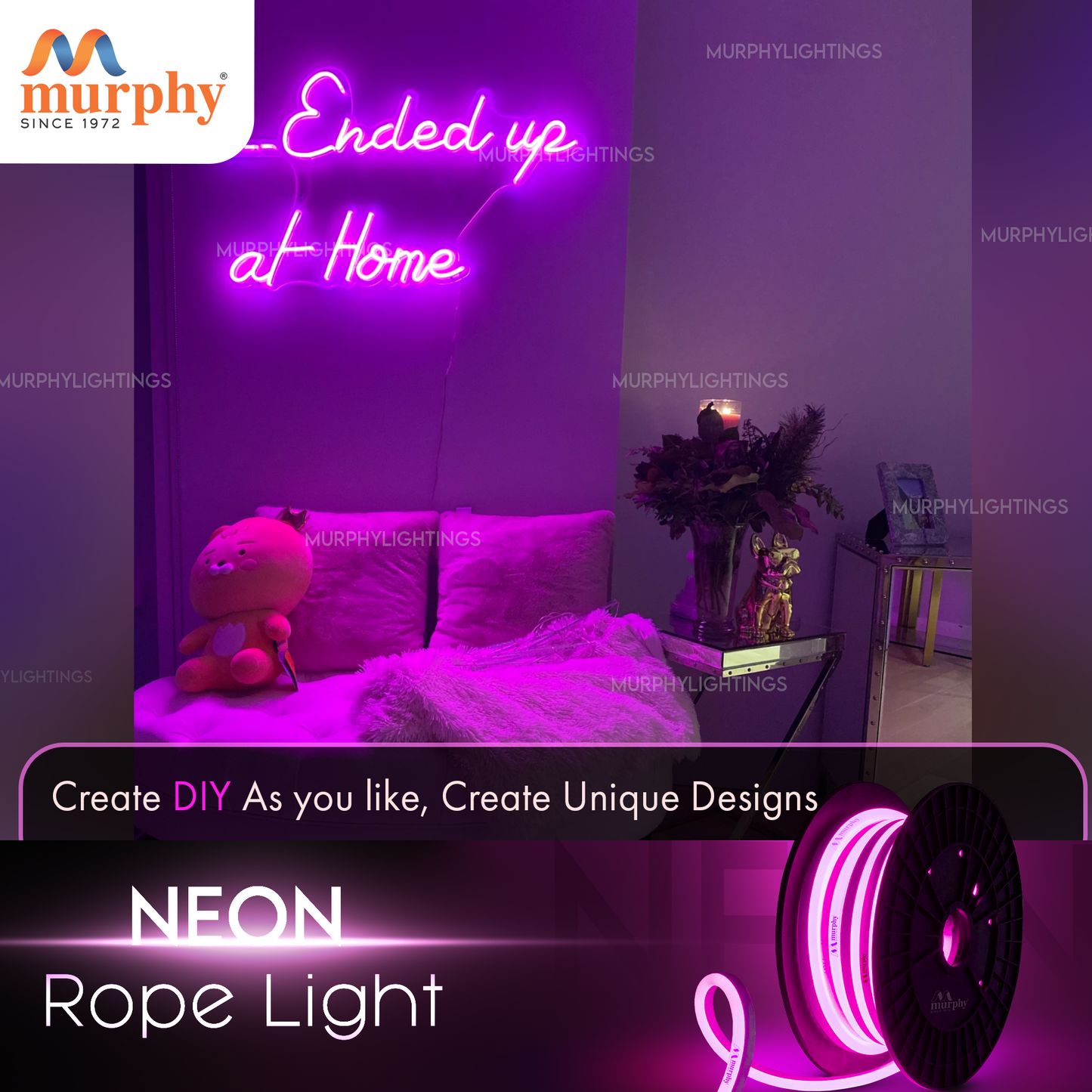 LED 12V DC NEON ROPE LIGHT WITH 2AM DRIVER
