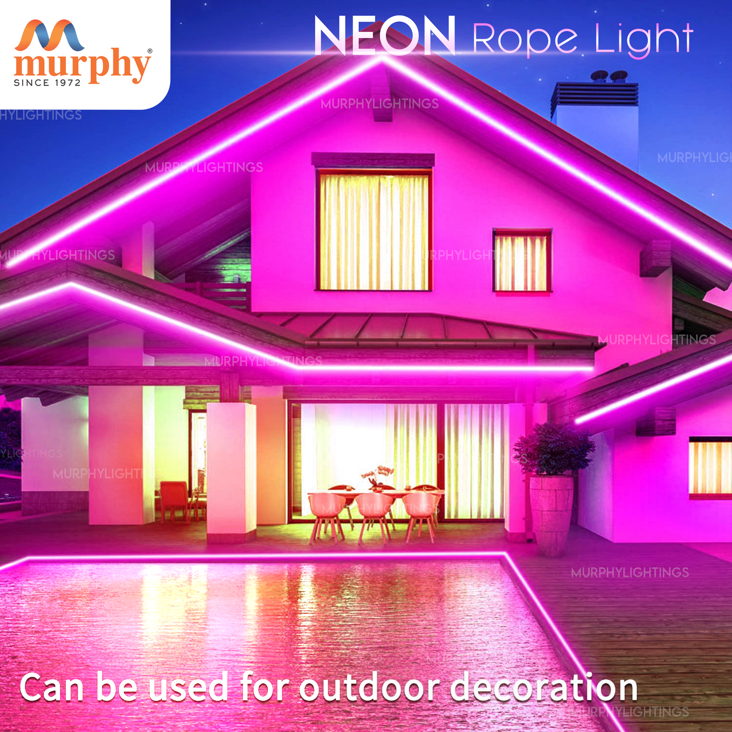 LED 12V DC NEON ROPE LIGHT WITH 2AM DRIVER