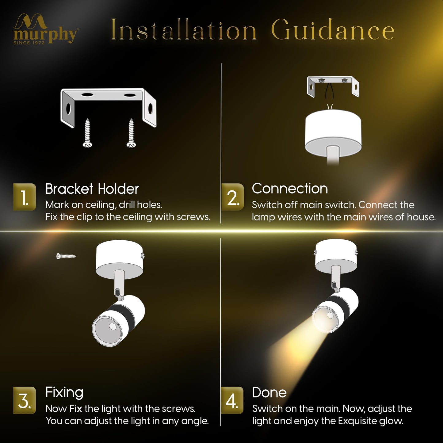 Murphy 6W Black Brass Adjustable Aluminum LED Wall COB Spotlight