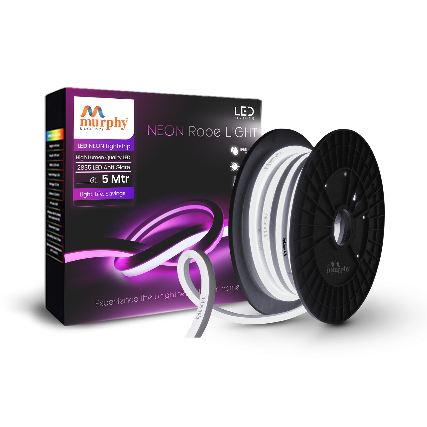 LED 12V DC NEON ROPE LIGHT WITH 2AM DRIVER