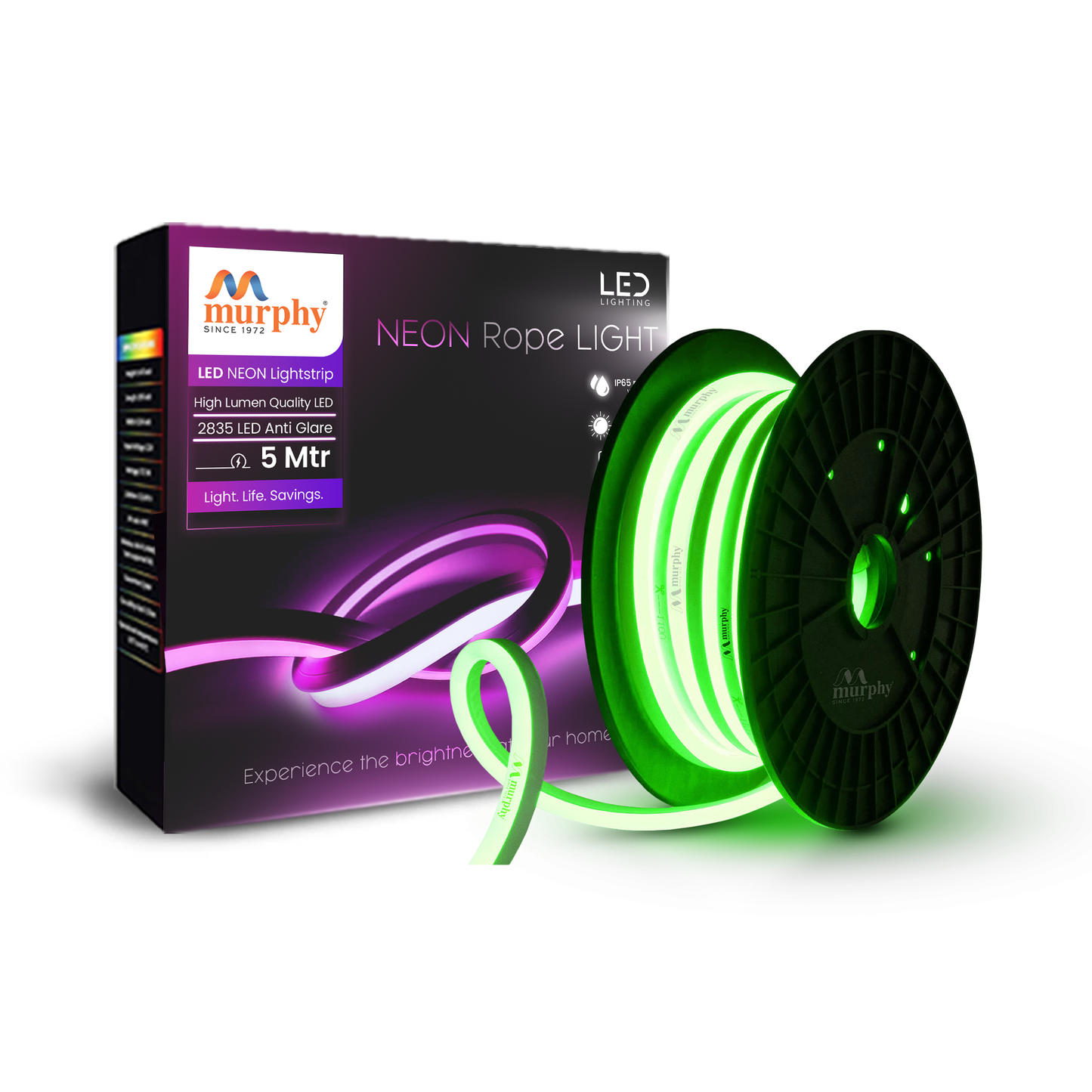 LED 12V DC NEON ROPE LIGHT WITH 2AM DRIVER
