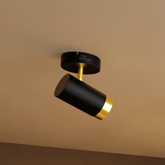 Murphy 6W Black Brass Adjustable Aluminum LED Wall COB Spotlight