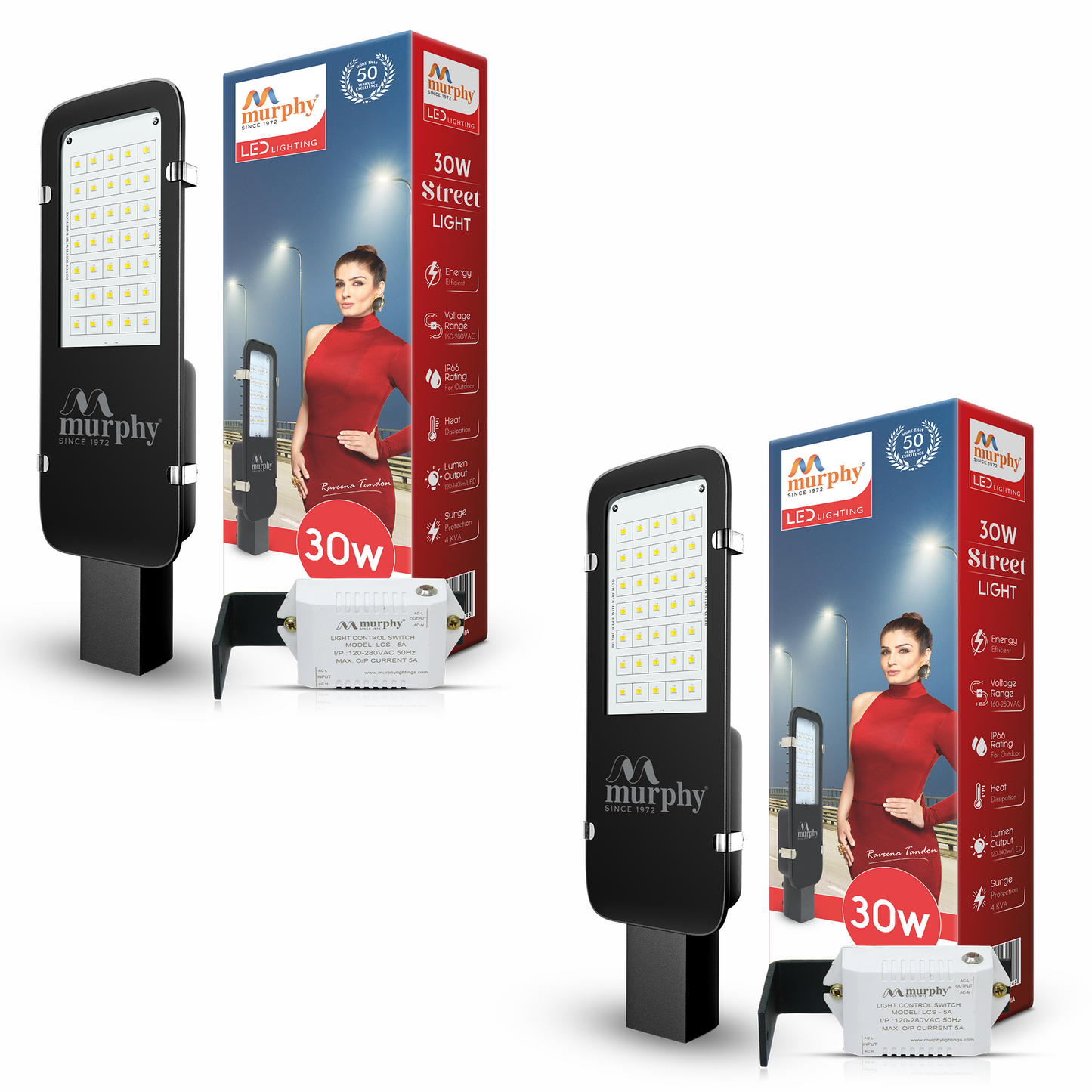 30W LED Galaxy Street Light - Dusk To Dawn