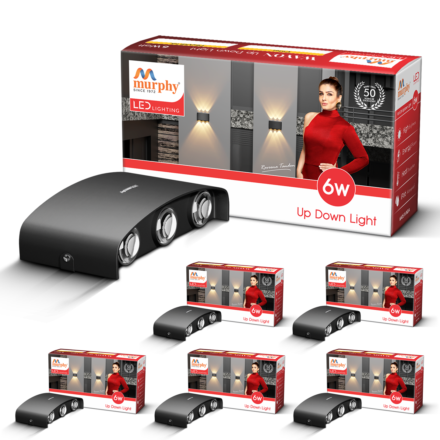 Murphy 6W LED Sixer Up & Down Light