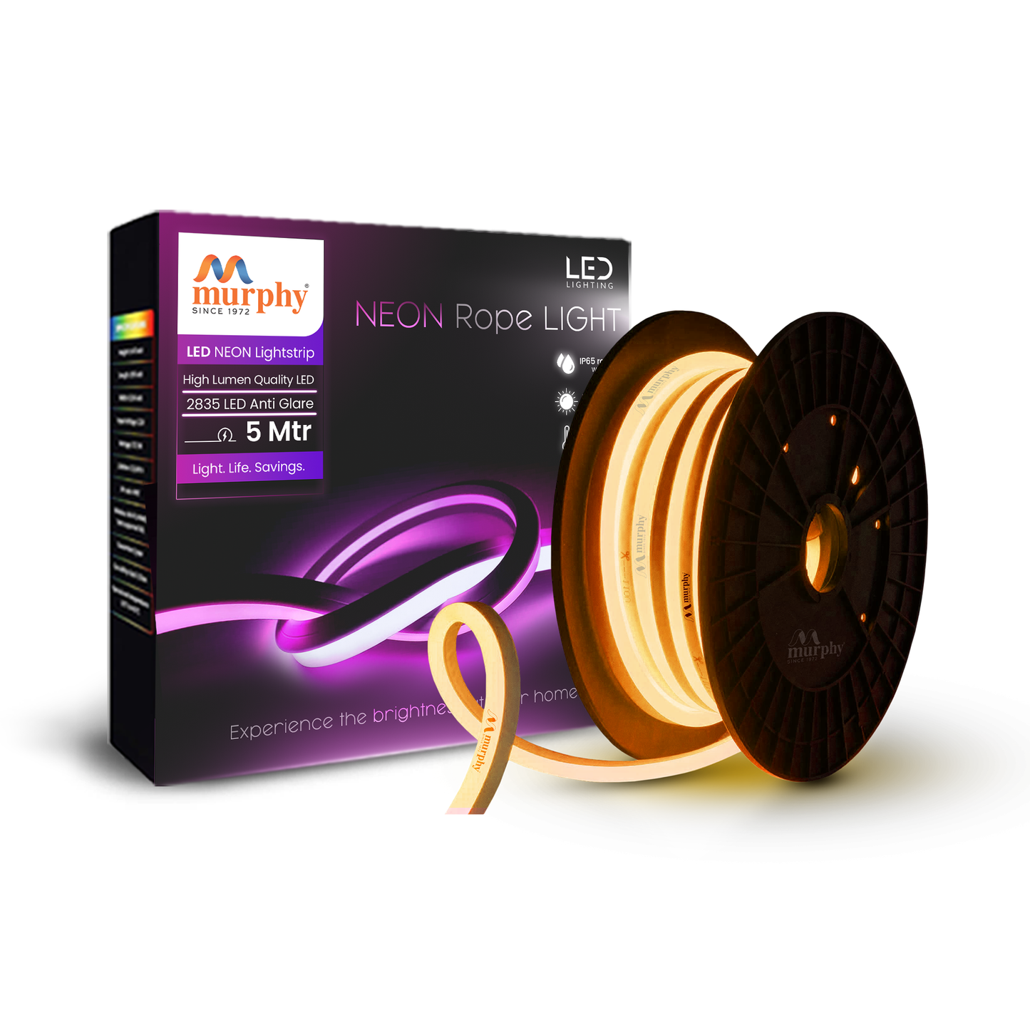 LED 12V DC NEON ROPE LIGHT WITH 2AM DRIVER