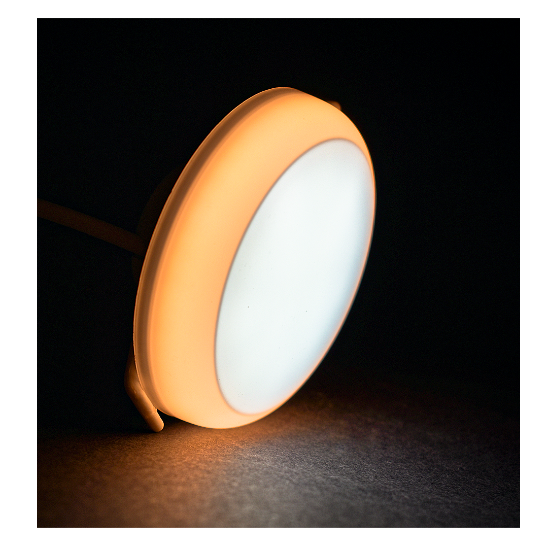 Murphy 12W+12W Twins LED Double Color Concealed+Junction Box Down Light