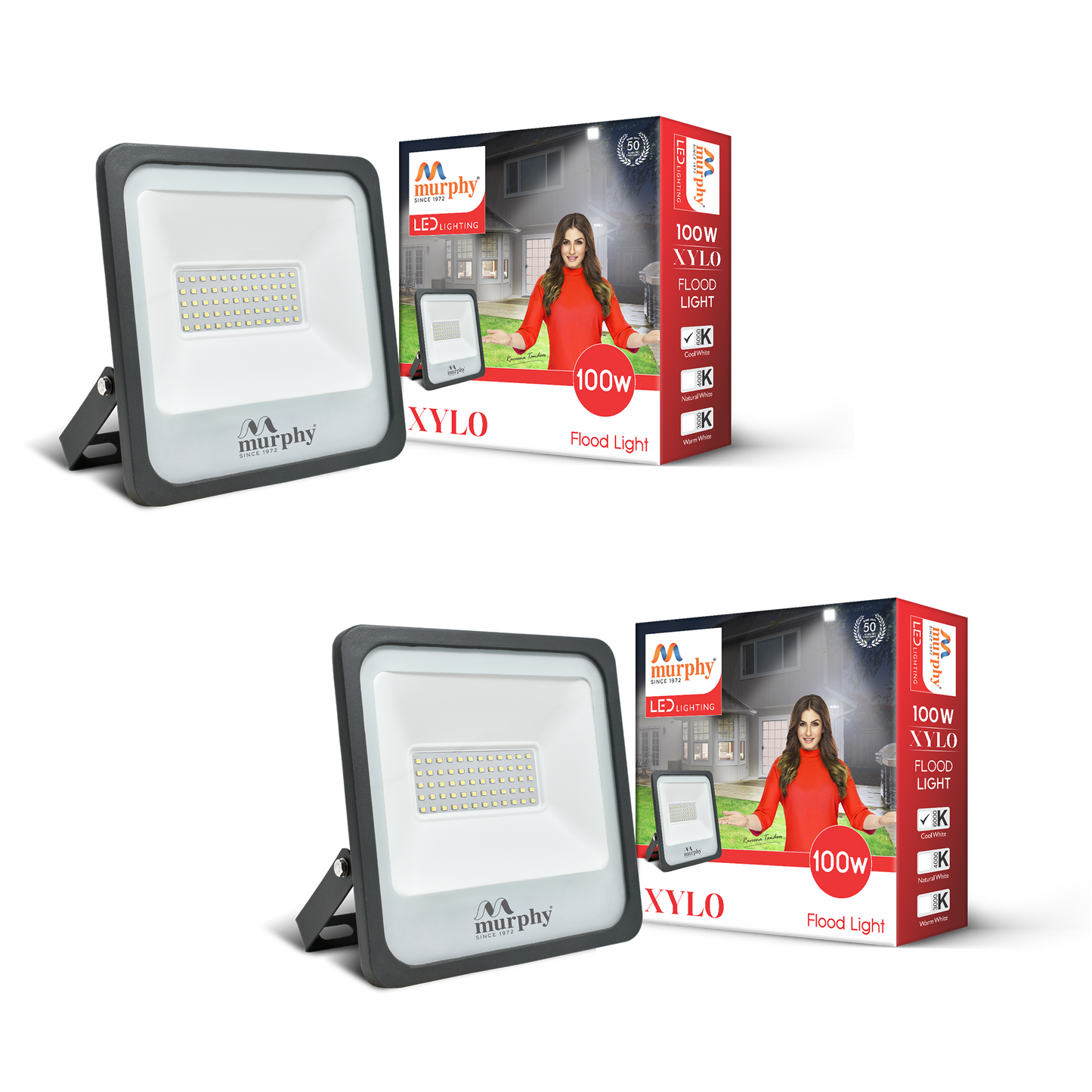 100W LED Flood Light - XYLO