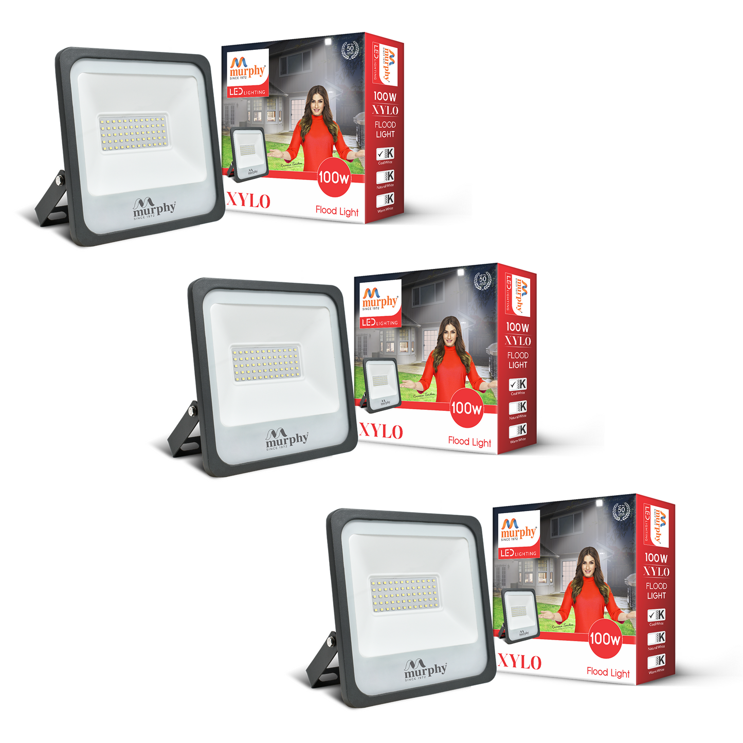 100W LED Flood Light - XYLO