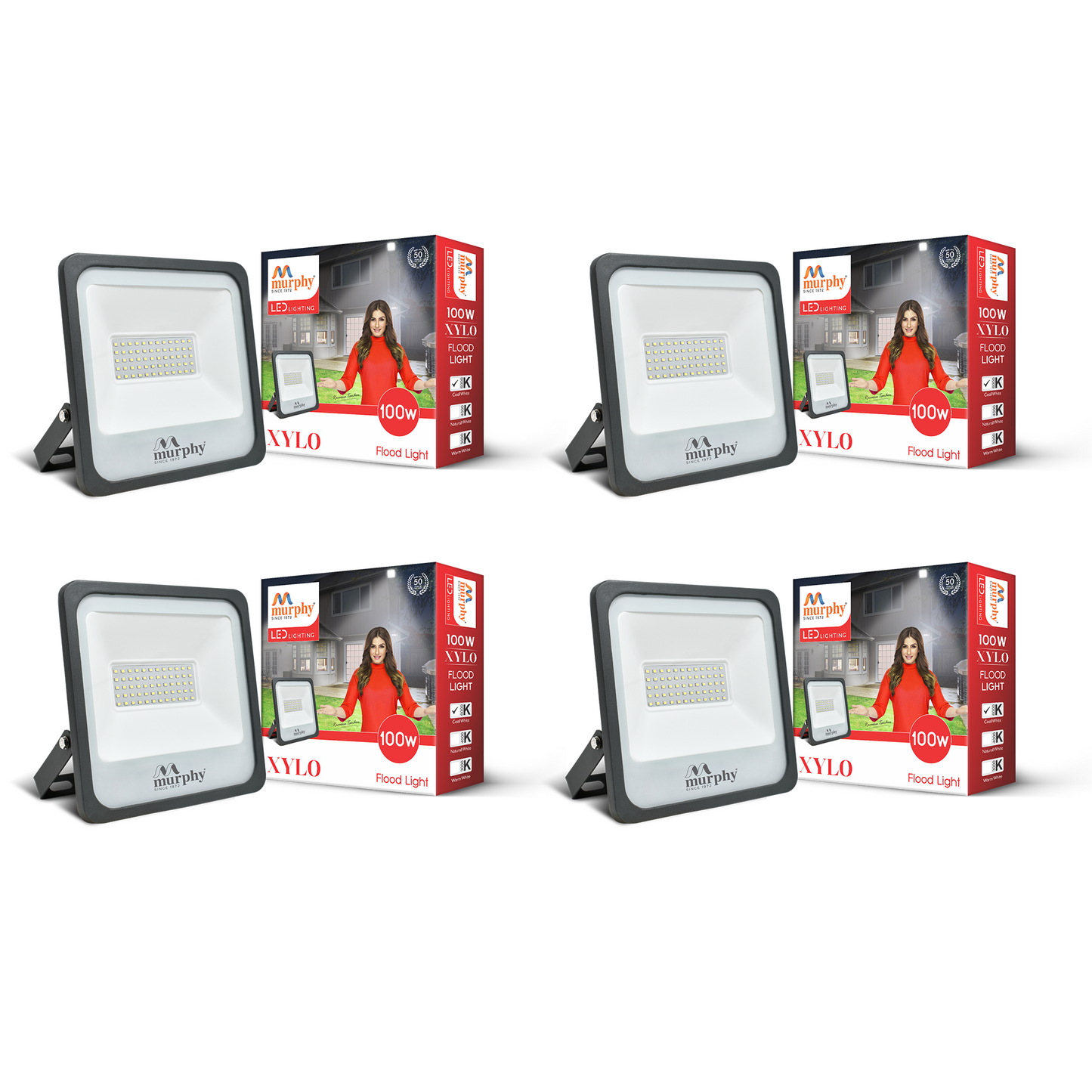 100W LED Flood Light - XYLO