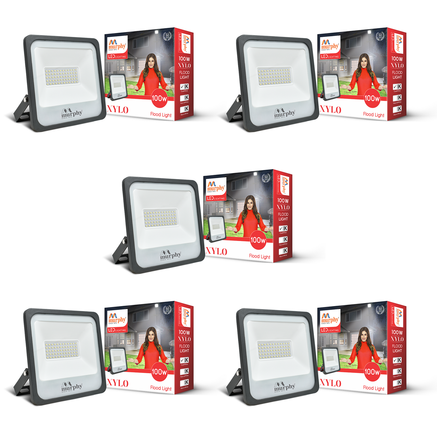 100W LED Flood Light - XYLO