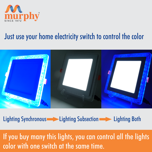Murphy 12W+4W Bubble LED 2-IN-1 Double Color Square Panel Light