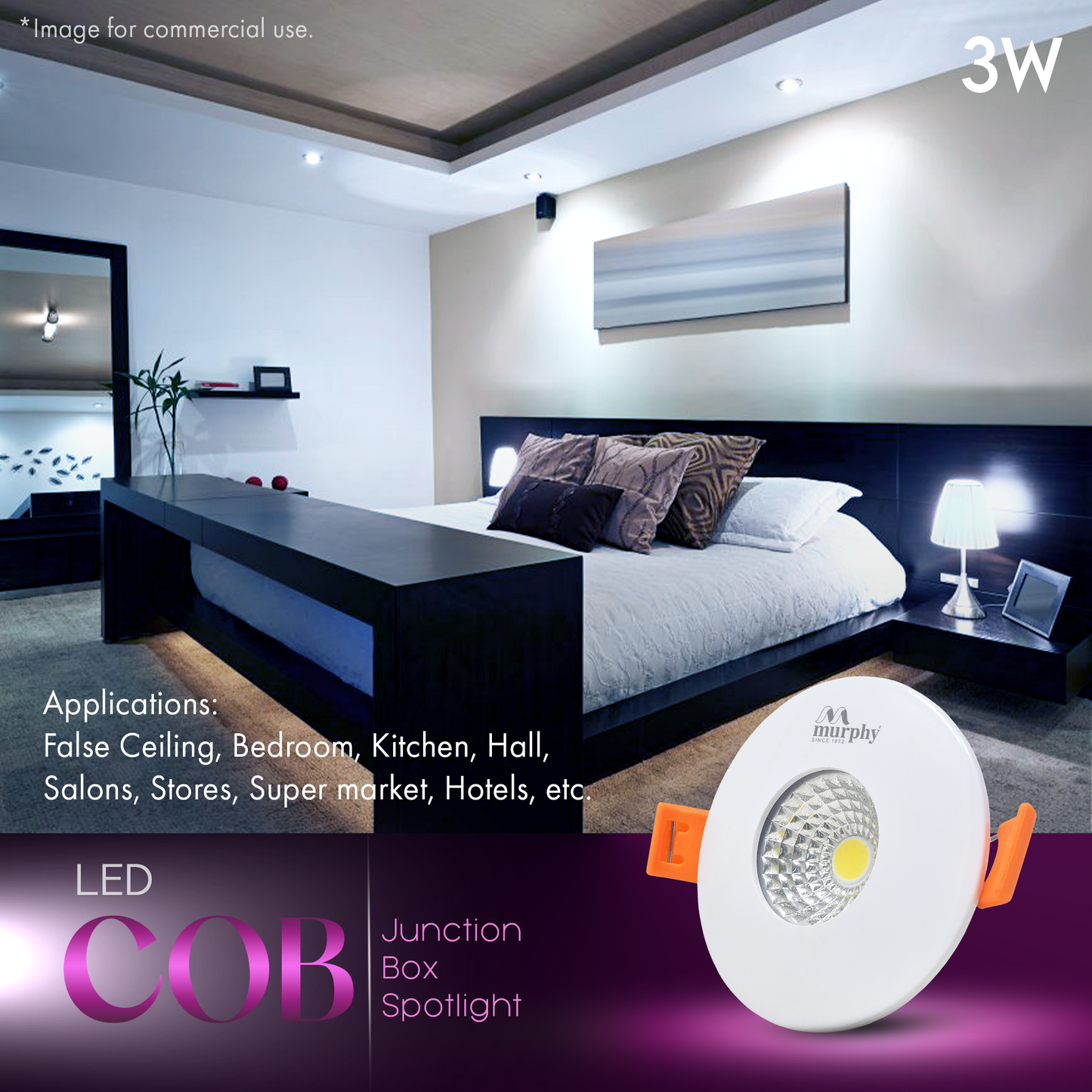 Murphy 3W COB Down Light