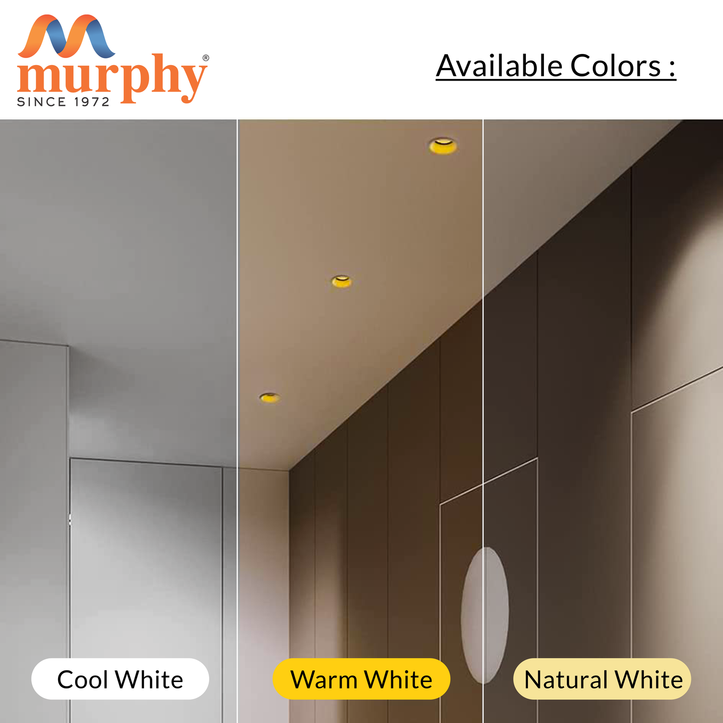 Murphy 12W Trimless Cruise COB Down Light