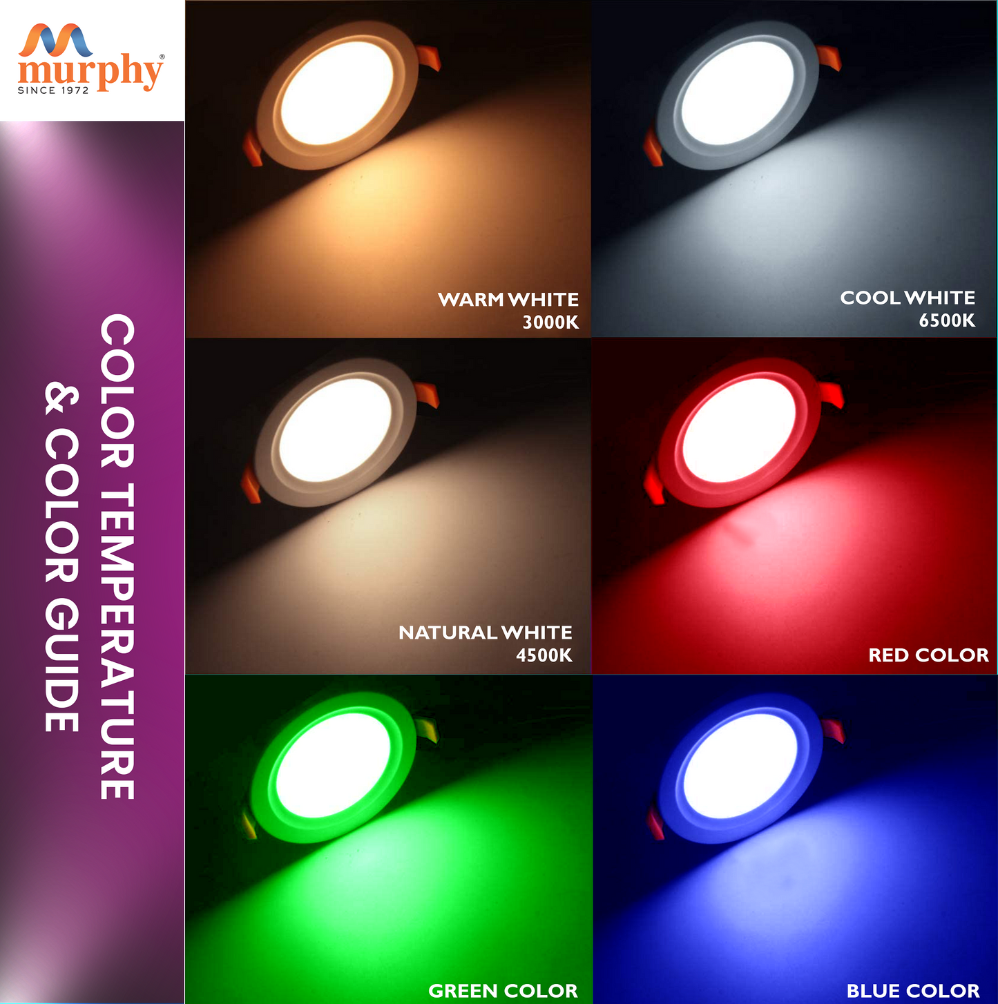 Murphy 3W COB Down Light