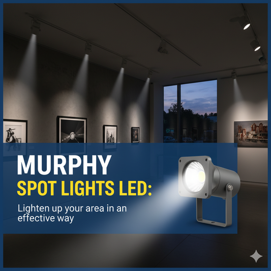 Murphy Spot Lights LED: Lighten up your area in a effective way