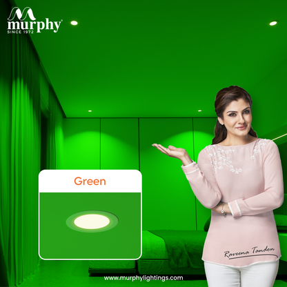 Murphy 6W Bright LED Concealed Box Down Light