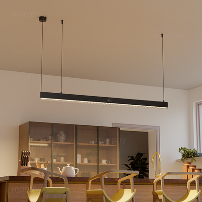 Murphy Black 4ft LED Hanging Profile Pendant Light (Lens Model)