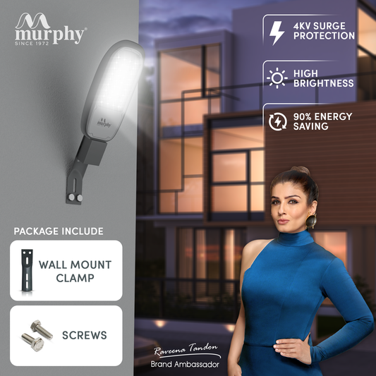 Murphy LED 24W Lenza-X Street Light