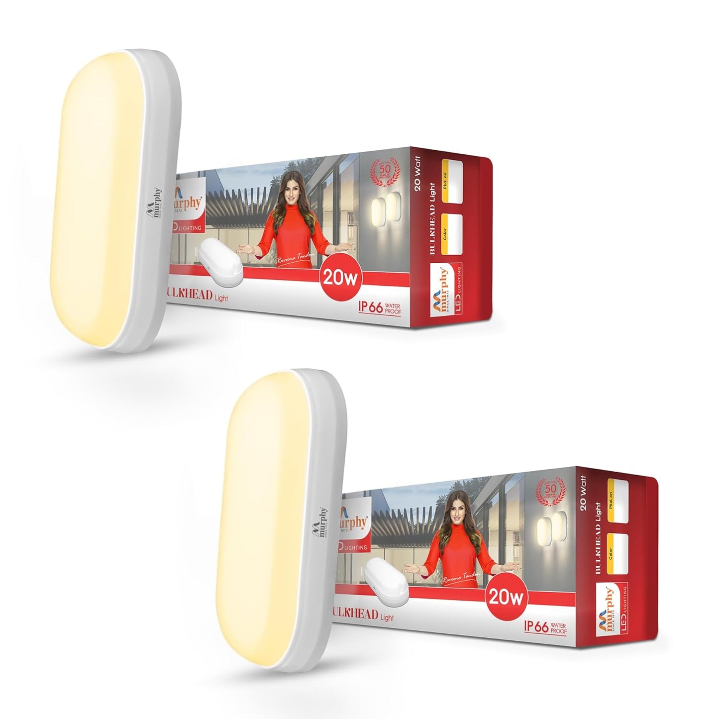 20W LED Bulkhead Wall Mount Light