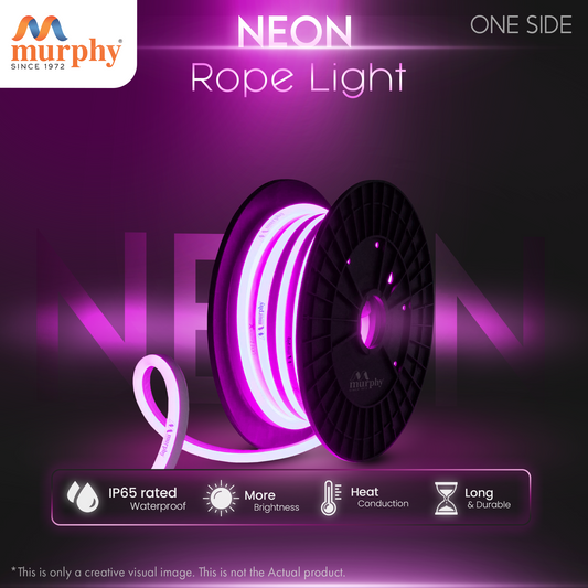 LED 12V DC NEON ROPE LIGHT WITH 2AM DRIVER