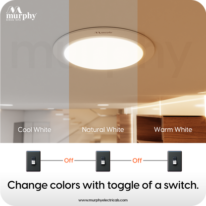 Murphy 15W OPAL 3-IN-1 Color Changing Round Recess Panel Light : CW+WW+NW