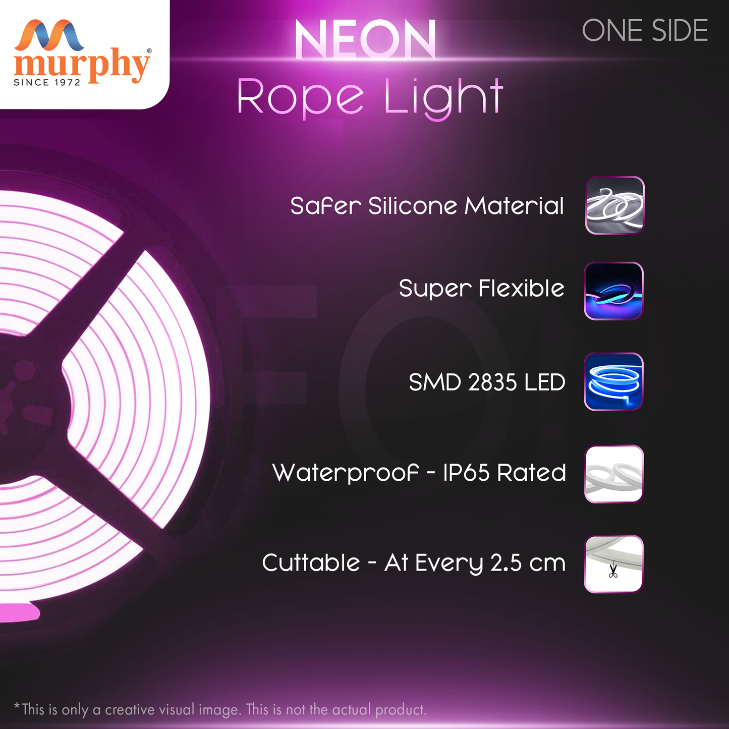 LED 12V DC NEON ROPE LIGHT WITH 2AM DRIVER