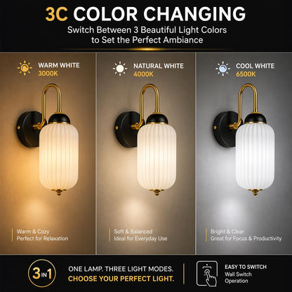 Murphy ELVO 9W LED Wall Down Light, 3C Color Changing (Warm/Neutral/Cool White), Golden Black, Acrylic & Metal Wall Lamp for Bedroom & Living Room, BIS Approved, 2 Year Warranty