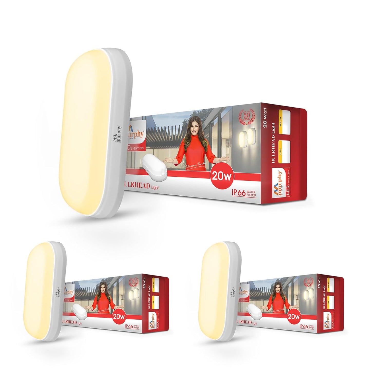 20W LED Bulkhead Wall Mount Light