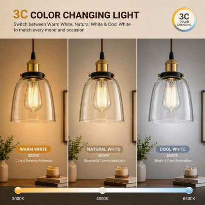 Murphy Ripple Pendant 9W LED Hanging Light | 3C Color Changing Warm/Natural/Cool White | Golden Finish | Ideal for Bedroom & Living Room | BIS Approved | 2 Year Warranty