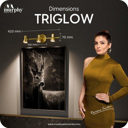Murphy TriGlow 3x5W LED Wall Track Light, 3C Color Changing (CW/WW/NW), Golden Finish, Adjustable 3 Spotlight Fixture, 15W Indoor Wall Lamp for Living Room & Home Office