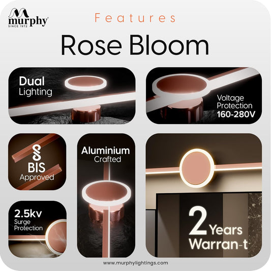 Murphy 16W+2W LED Mirror Light | 3 Color Changing (White/Warm/Natural) | Full Copper Finish – Sun Design, Modern Over Mirror Vanity/Bathroom Light