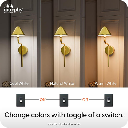 Murphy Cone Glow 6W LED Decorative Wall Light