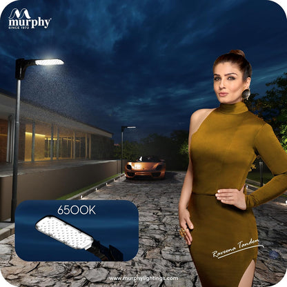 Murphy LED Lensy 50W Dusk to Dawn Auto Day/Night ON/Off Street Light, IP-65 Outdoor Light Cool White