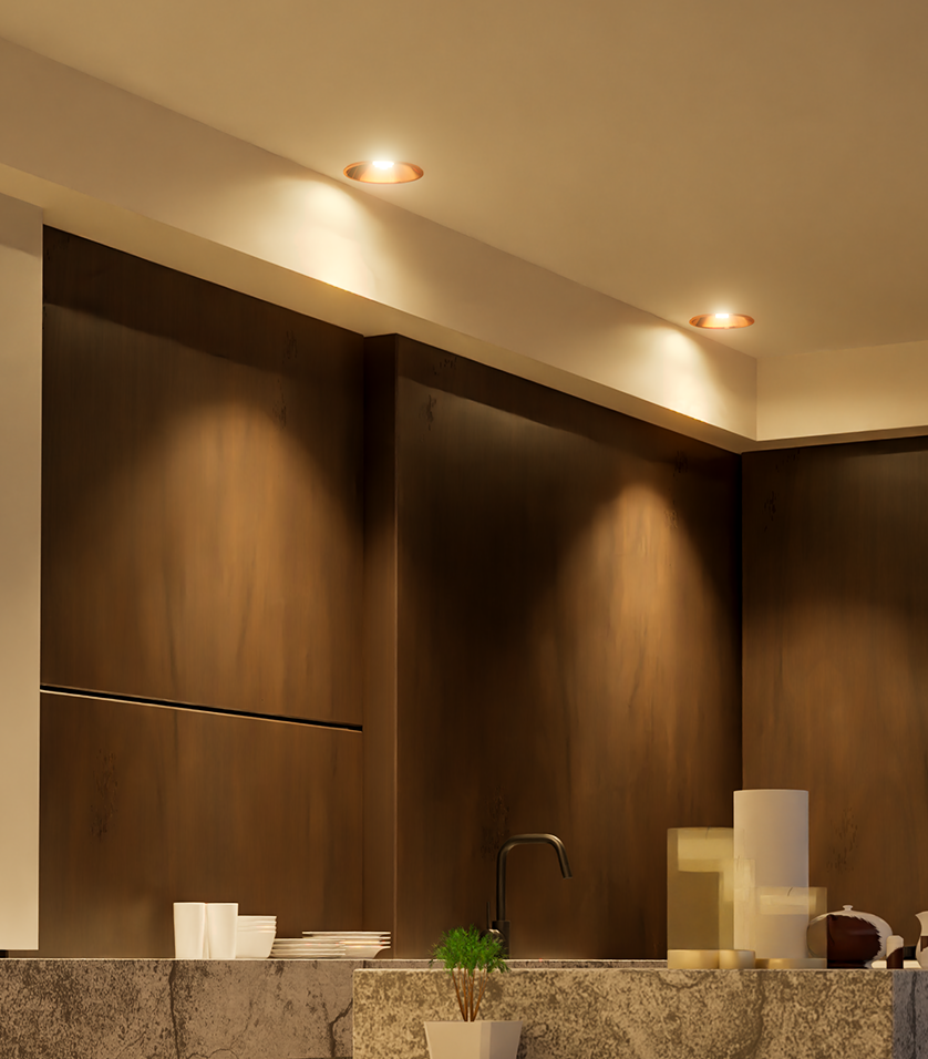 LED COB Down Light