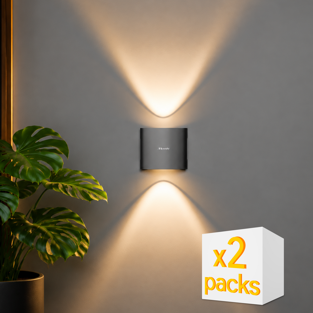 Murphy 2W Compact Up Down LED Wall Light