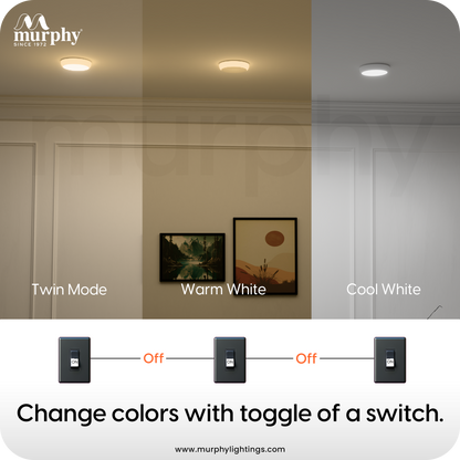 Murphy 7W+7W Twins LED Double Color Deep Junction Box Down Light