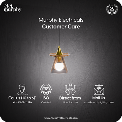 Murphy ORBELLA Pendant 6W LED Hanging Light | 3C Color Changing Warm/Natural/Cool White | Golden Finish Metal & Acrylic | Ceiling Lamp | BIS Approved | 2 Year Warranty