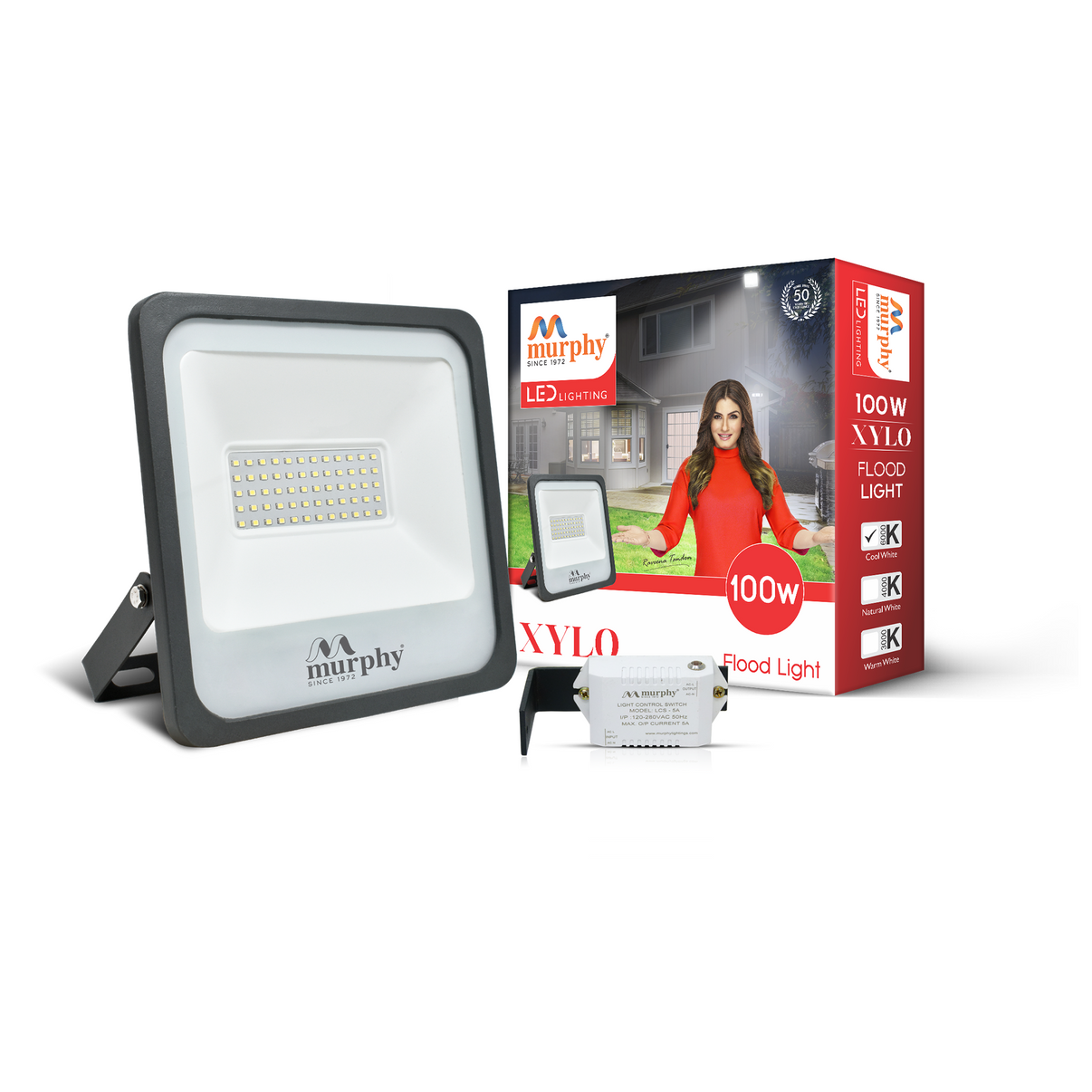 Buy 100W LED Flood Light with Auto On/Off Driver Online – Murphy Lightings