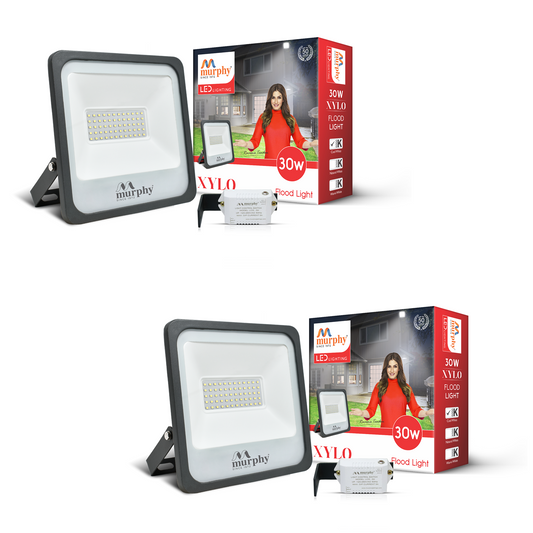 30W LED Flood Light - With Auto On Off Driver